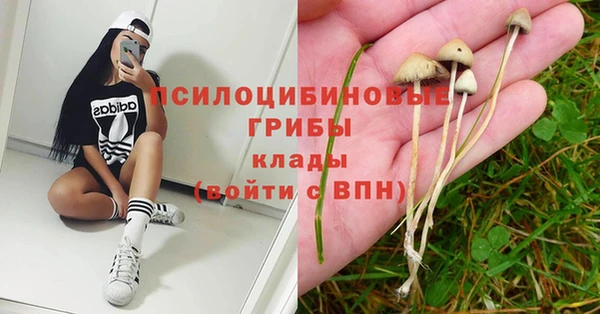 дурь Баксан